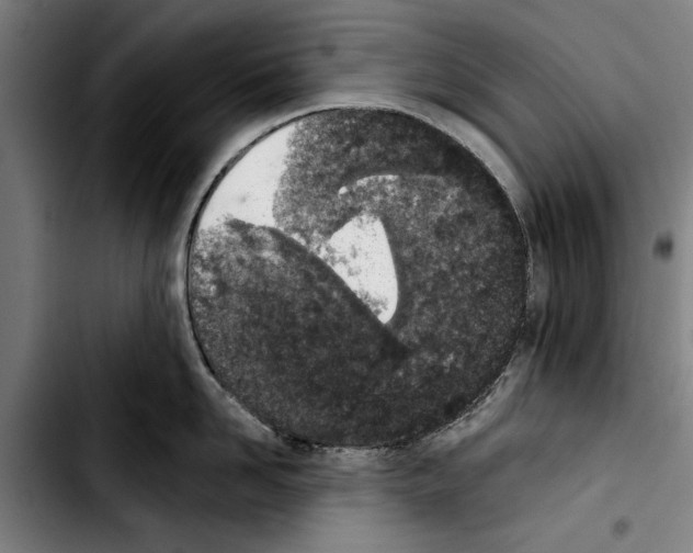 X0000103400958200810241008