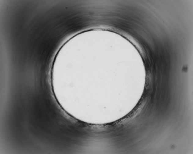 X0000103400959200810241008