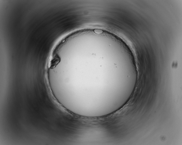 X0000103400960200810241008