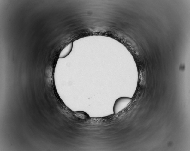 X0000103400963200810241007