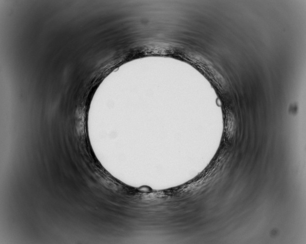 X0000103400964200810241007