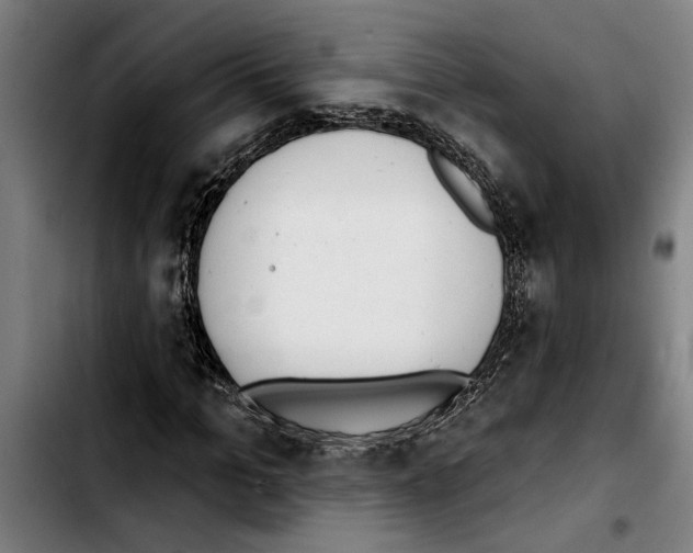 X0000103400965200810241007