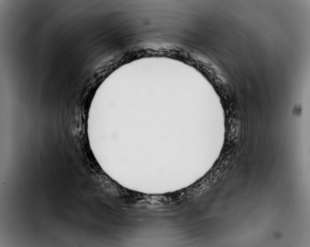 X0000103400966200810241007