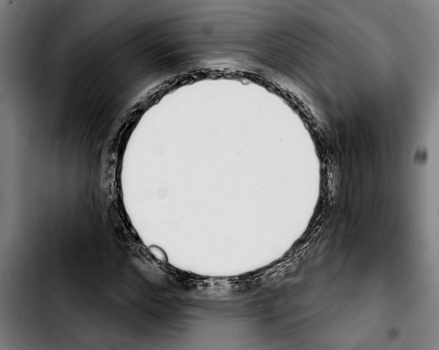 X0000103400968200810241007