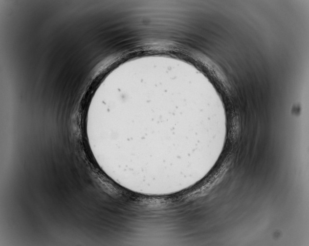 X0000103400970200810241007