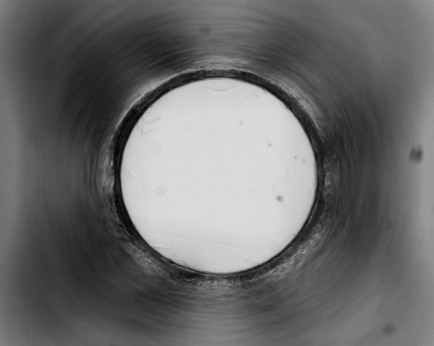 X0000103400973200810241007