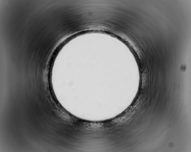 X0000103400975200810241007