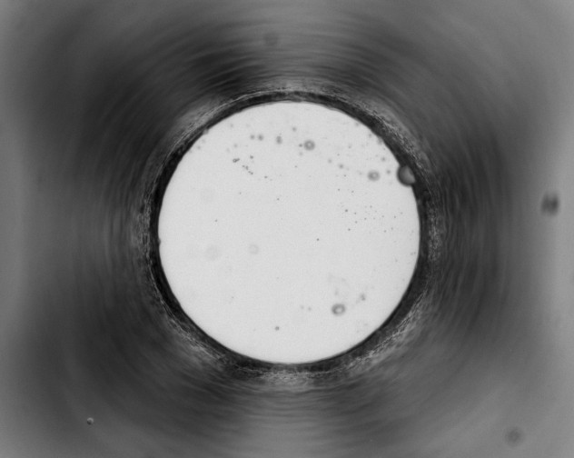 X0000103400977200810241007