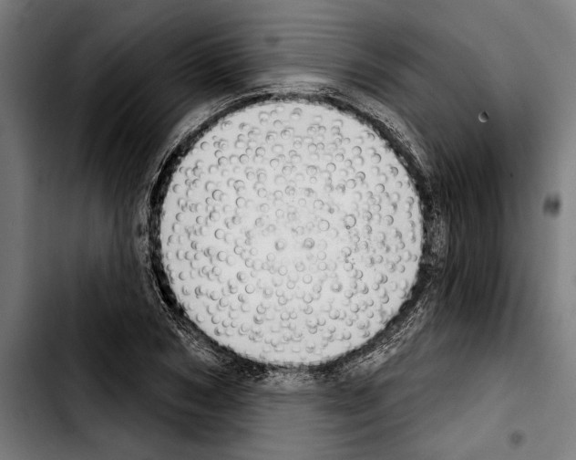 X0000103400978200810241007