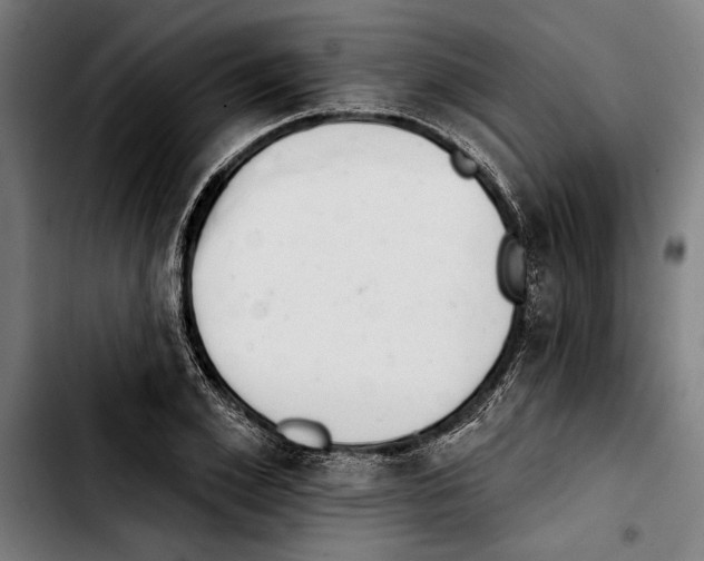 X0000103400981200810241007