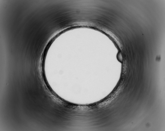 X0000103400983200810241007