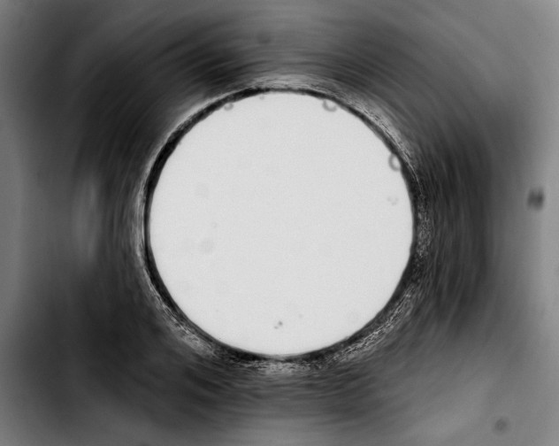 X0000103400984200810241007