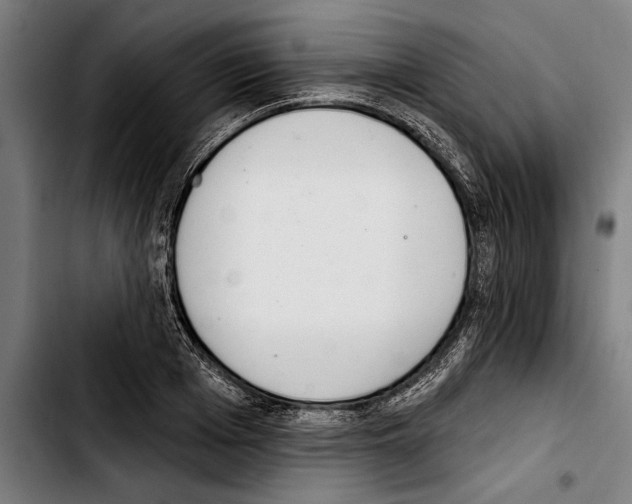 X0000103400985200810241007