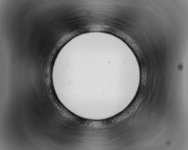 X0000103400986200810241007