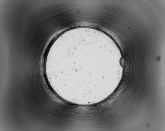 X0000103400987200810241007