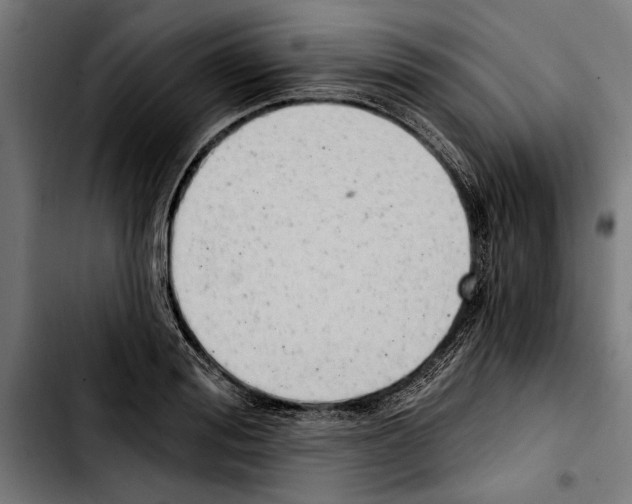 X0000103400988200810241007