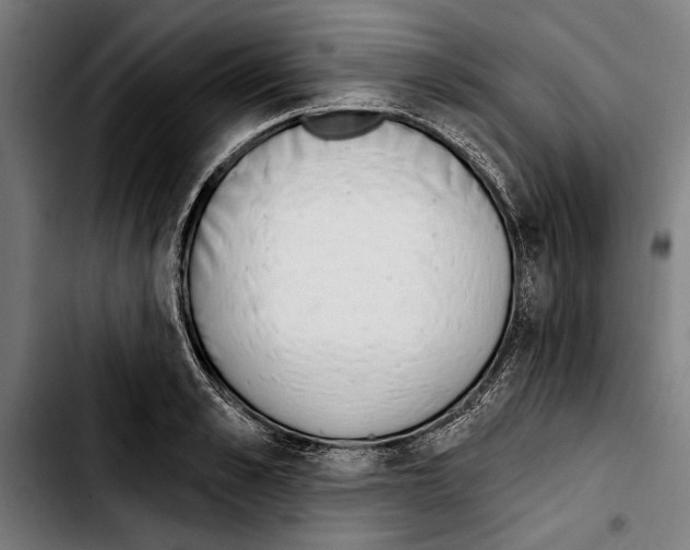 X0000103400989200810241007