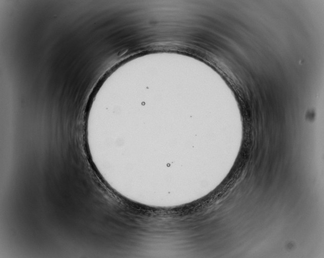 X0000103400992200810241007