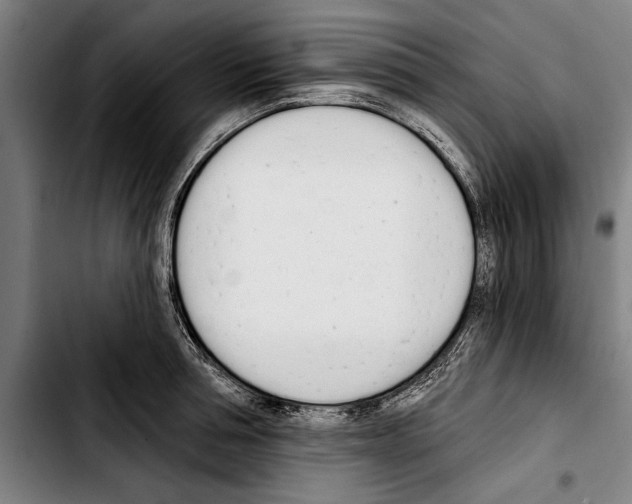 X0000103400994200810241007