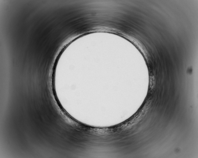 X0000103400995200810241007