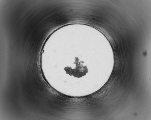 X0000103400996200810241007