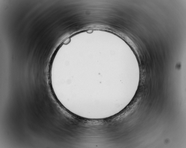 X0000103400997200810241007