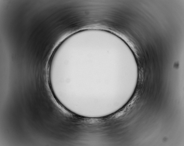 X0000103400998200810241007