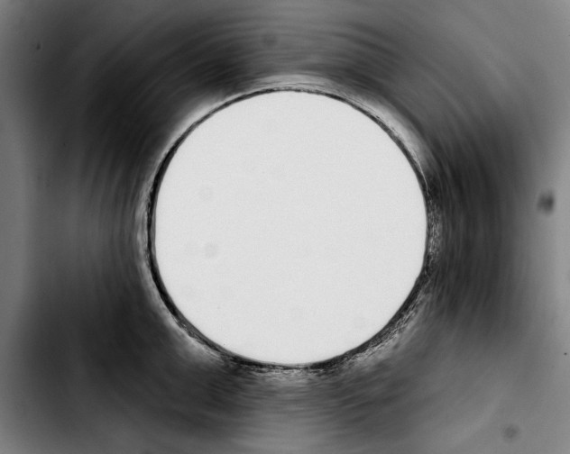 X0000103400999200810241007