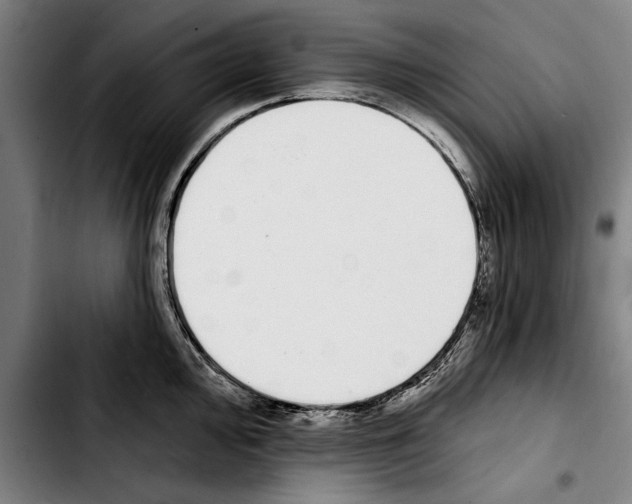 X0000103401000200810241007