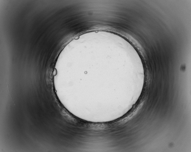 X0000103401001200810241007