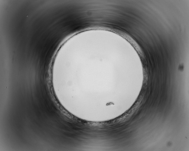 X0000103401004200810241007