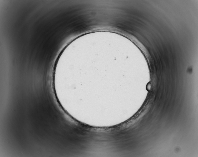 X0000103401005200810241007