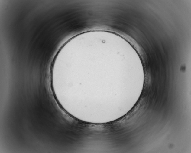 X0000103401006200810241006