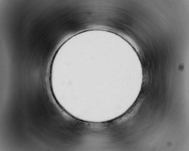 X0000103401007200810241006