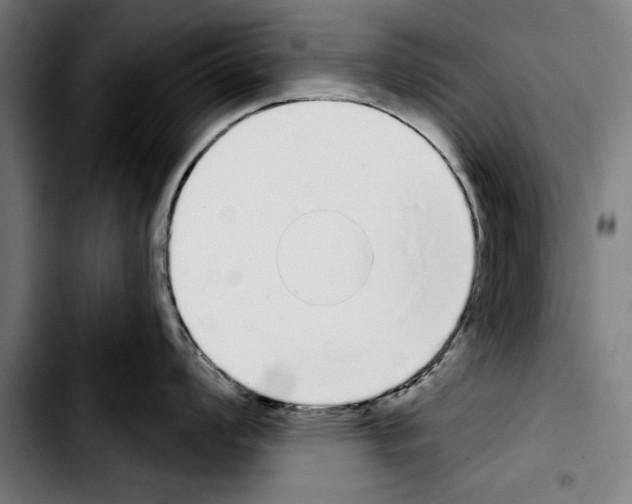 X0000103401008200810241006