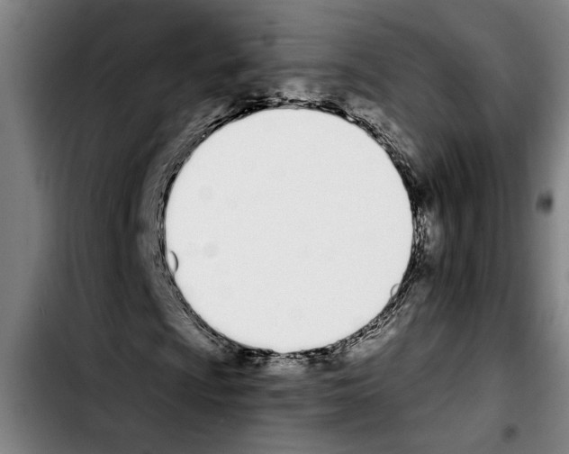 X0000103401009200810241006