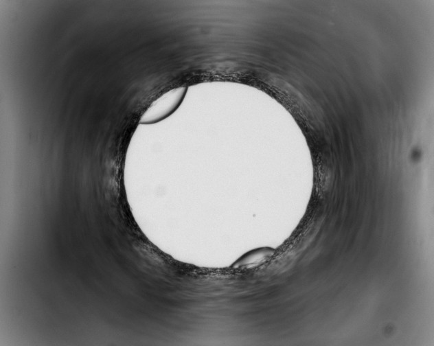 X0000103401010200810241006