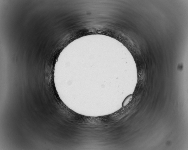 X0000103401012200810241006