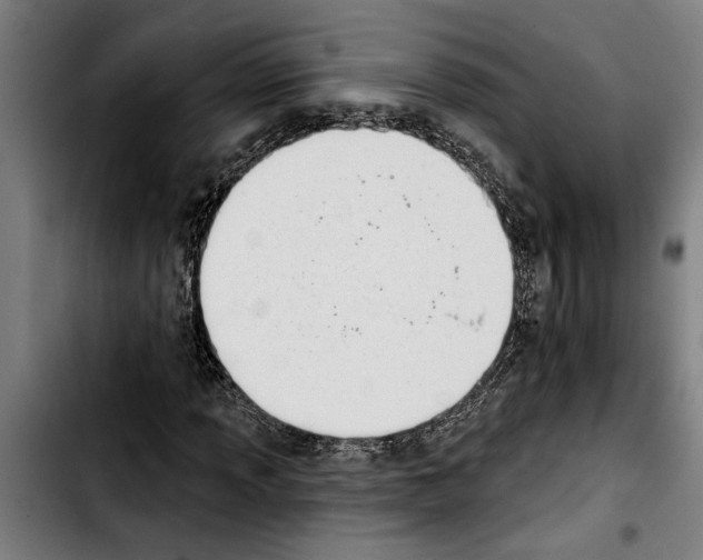 X0000103401013200810241006