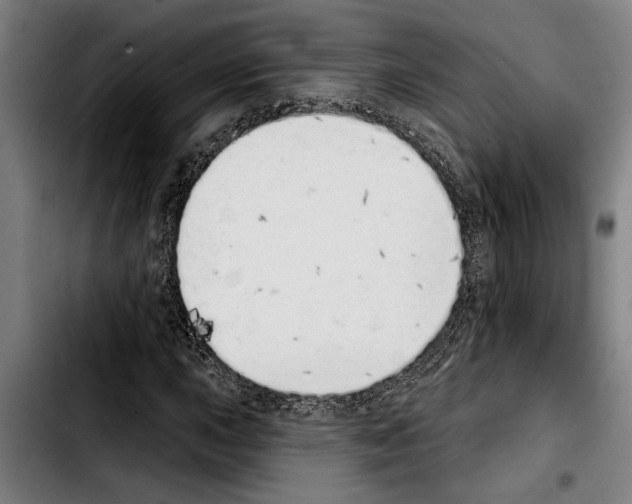 X0000103401015200810241006