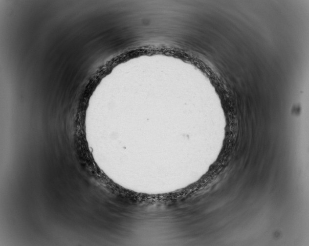 X0000103401016200810241006