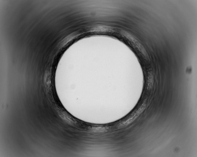 X0000103401017200810241006