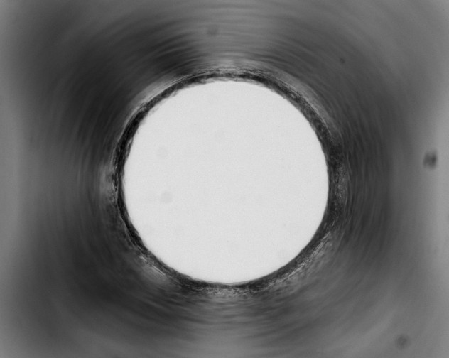 X0000103401018200810241006