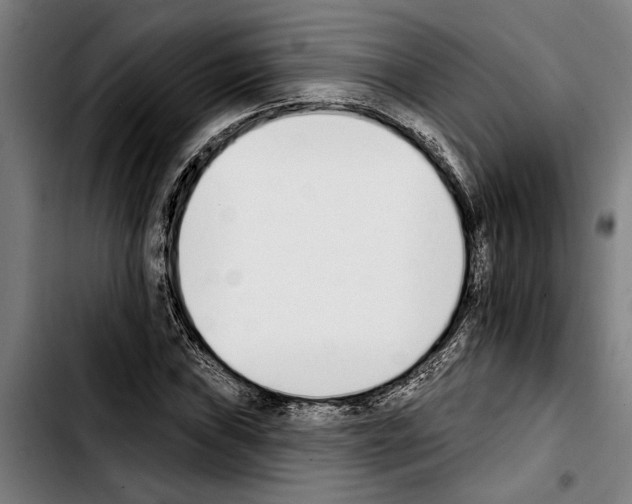 X0000103401019200810241006