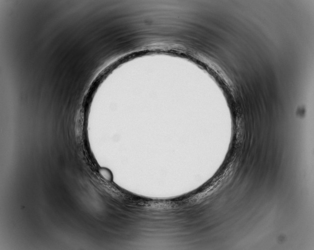 X0000103401021200810241006