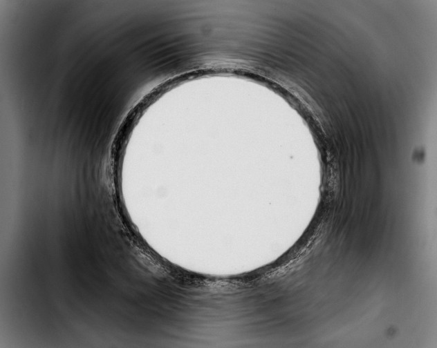 X0000103401022200810241006