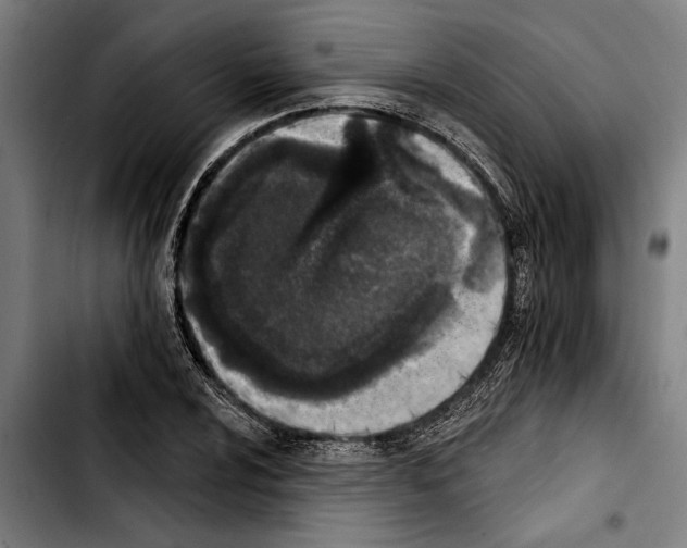 X0000103401024200810241006