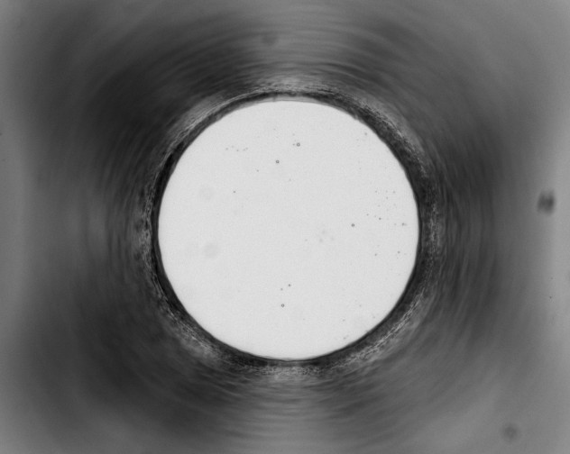 X0000103401025200810241006