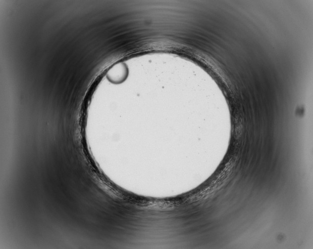 X0000103401026200810241006