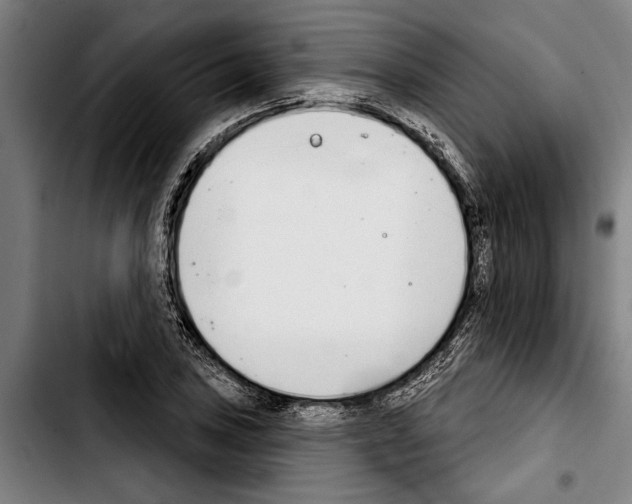 X0000103401027200810241006